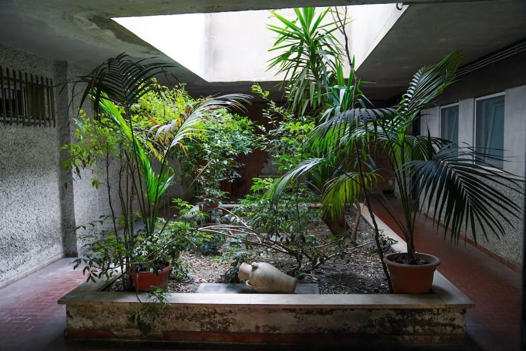 San Peter View Apartment Roma Exterior foto